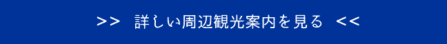 詳しい周辺観光案内を見る