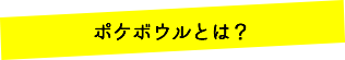 ポケボウルとは？